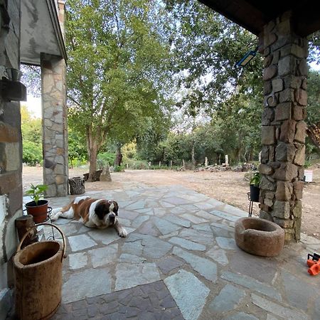 Agriturismo Pranu Sorgono 외부 사진