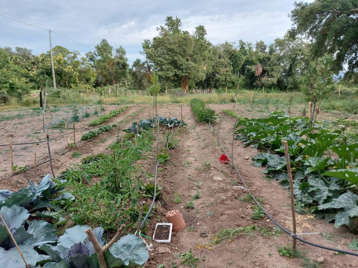 Agriturismo Pranu Sorgono 외부 사진