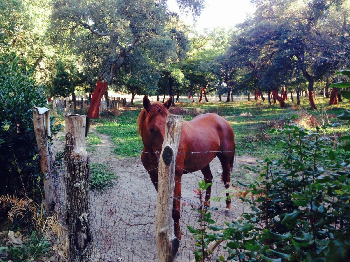 Agriturismo Pranu Sorgono 외부 사진