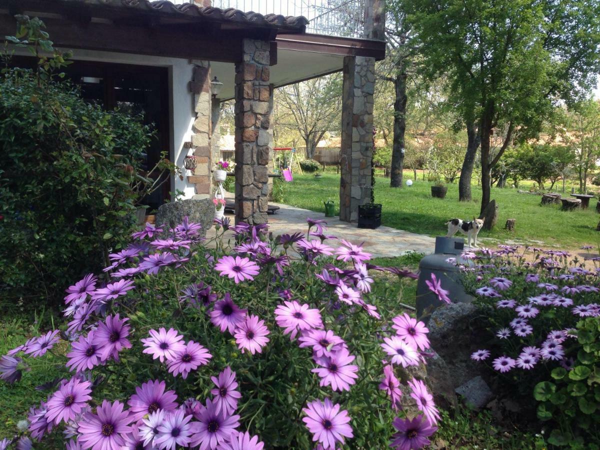 Agriturismo Pranu Sorgono 외부 사진
