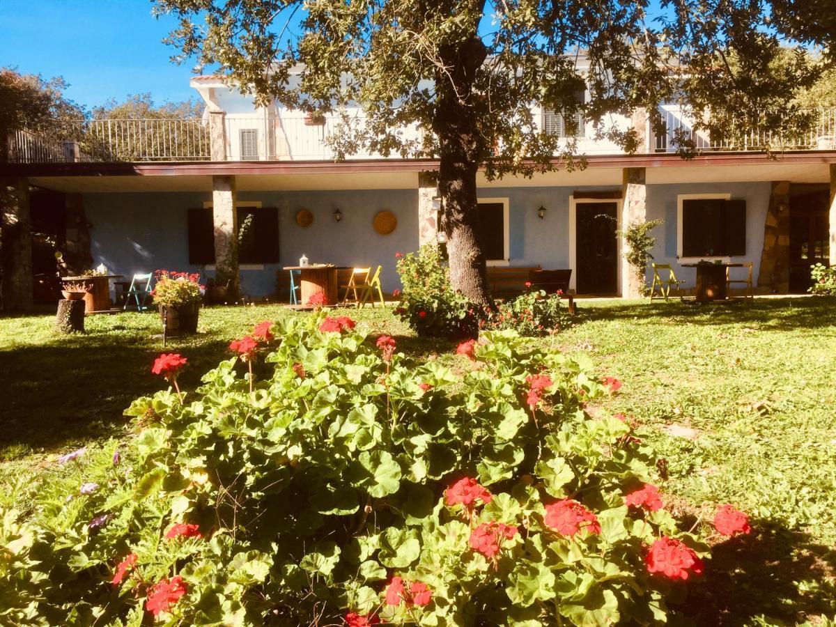 Agriturismo Pranu Sorgono 외부 사진